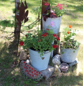 old buckets and flowers