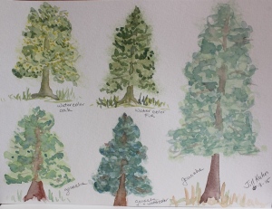 trees in watercolor and gouache